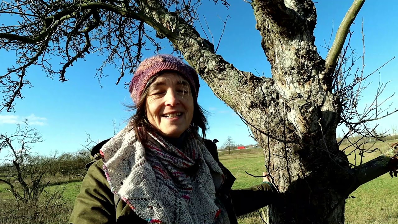 Reise Vlog 1/20 Wanderung - Rieselfelder Großbeeren - Berlins innovative Kläranlage - Baumenergie