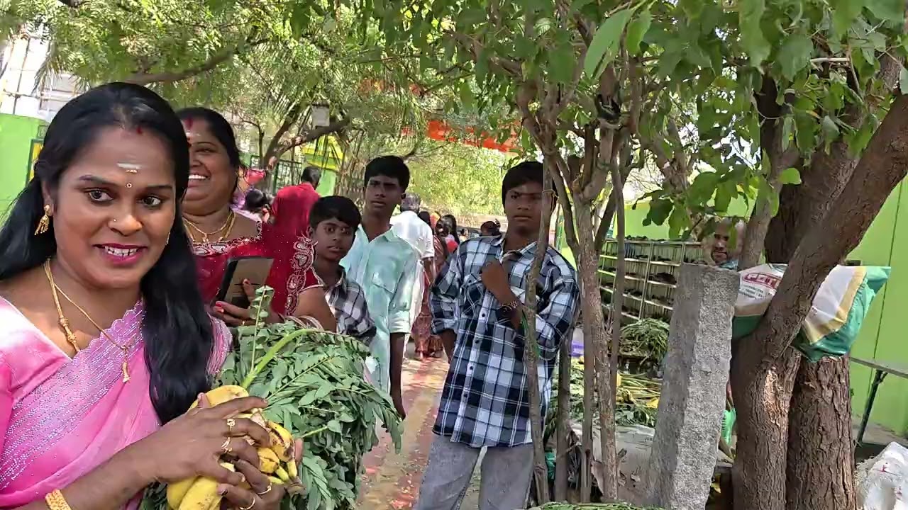 வாழைப்பழம் கொடுக்கிறேன்னு வழுக்கி விழுந்த சிக்கா கணக்கம்பட்டியில் நடந்த ஒரு சம்பவம் 😃😃