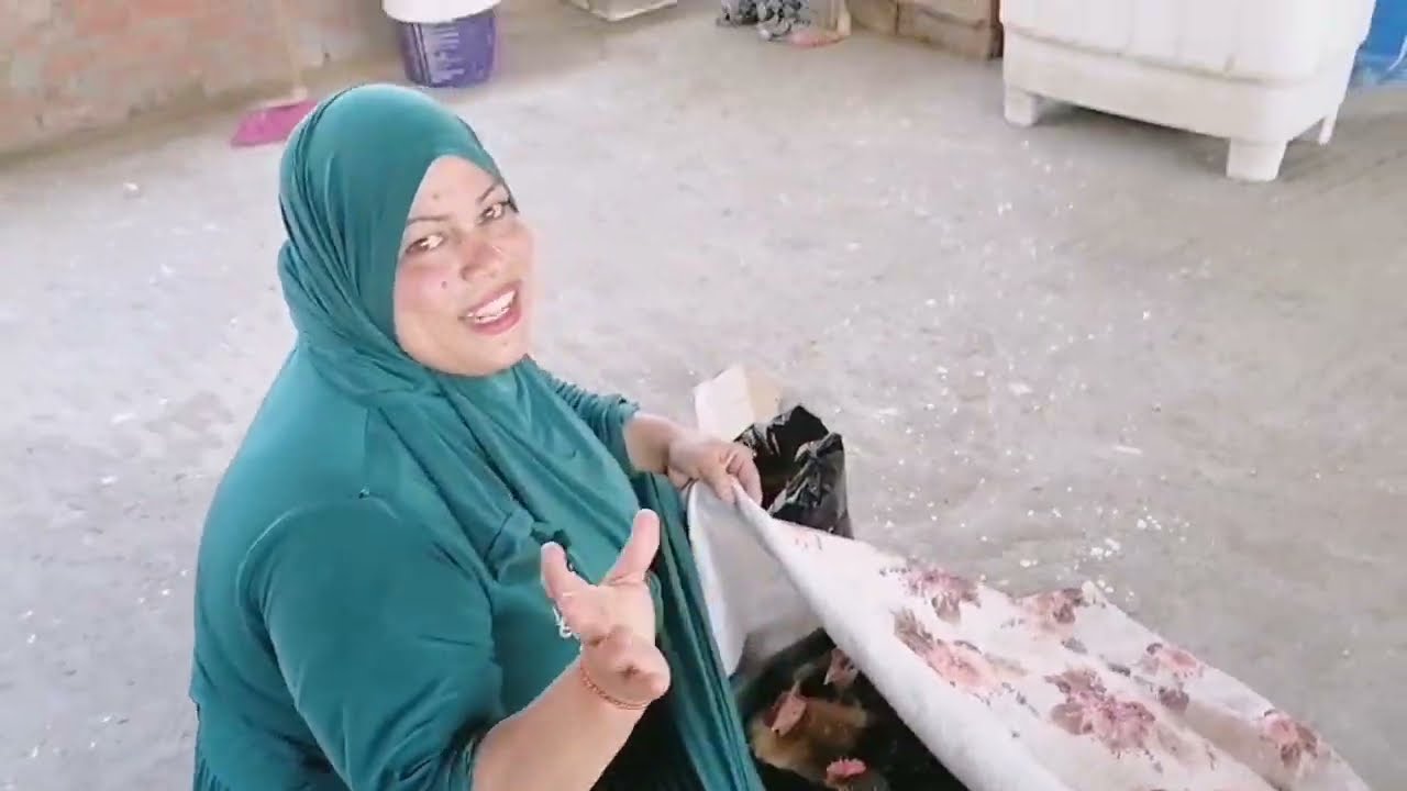 هيا دى تربية الفراخ البلدي الصح 🐓زيادة حجم وزيادة ووزن 👍