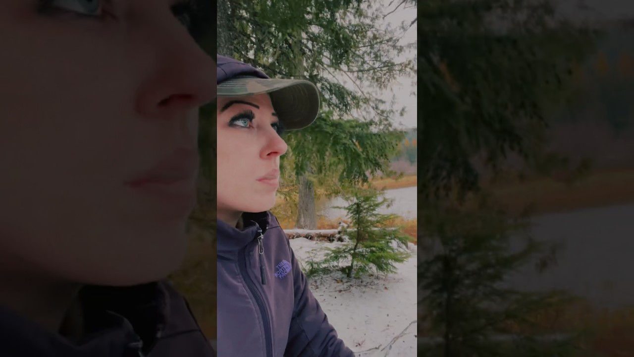 Washington Lakes #mushroomforest #mushroomforaging #nature #backpacking