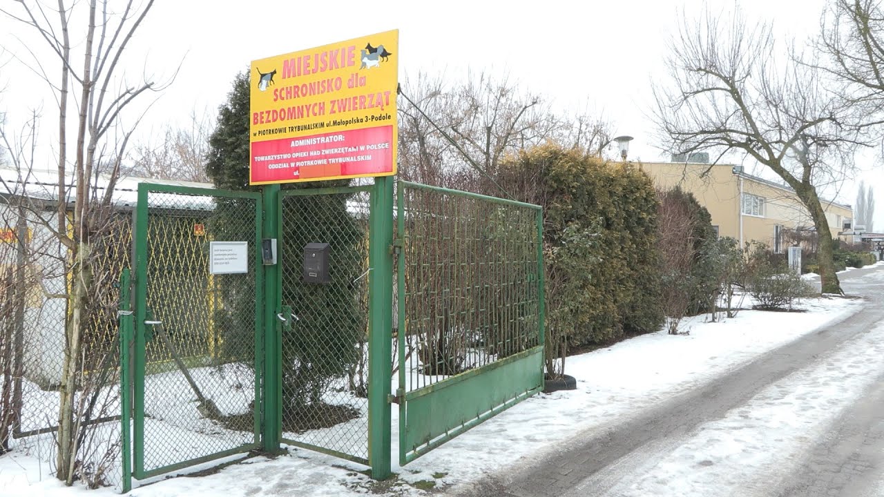 28 01 2026 Tv Piotrków