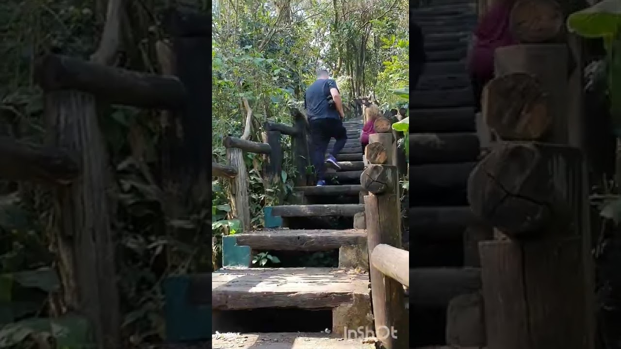 Reserva y jardín botánico Horco Molle
