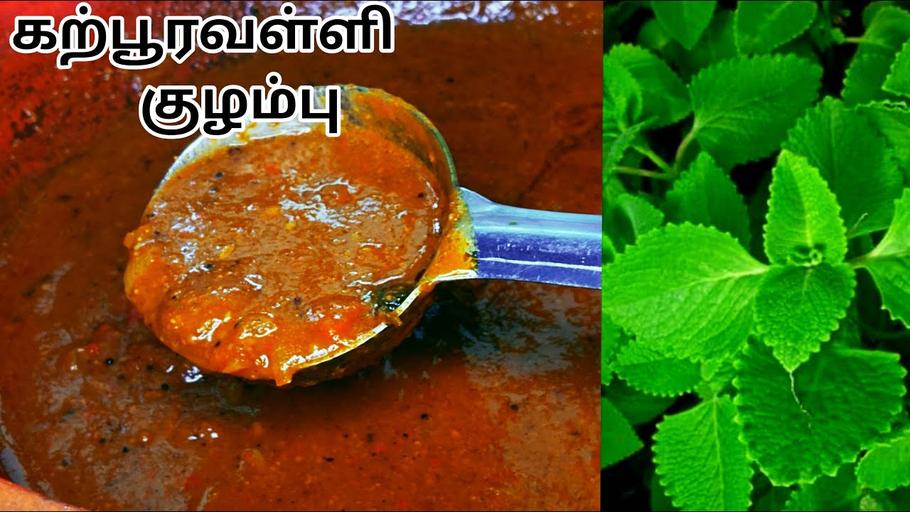 HOME REMEDY FOR COLD AND COUGH l கற்பூரவள்ளி குழம்பு l Karpooravalli kuzhambu l