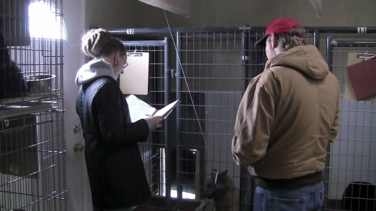 Humane Society of Utah / Iron County Dog Rescue.mov