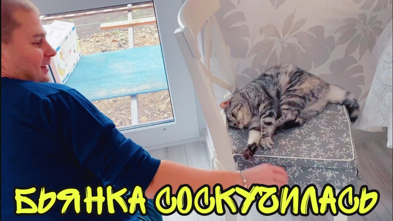 ВЛОГ Бьянка скучает в СТАНИЦЕ Сварил СУП БАТЯ ЛЁША