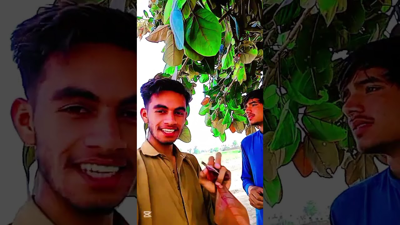 All Ristydar Munafiq Hy ✔️😜🤣