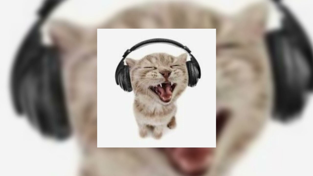 pitbull - hotell room service (sped up) / meet me at the hotel room