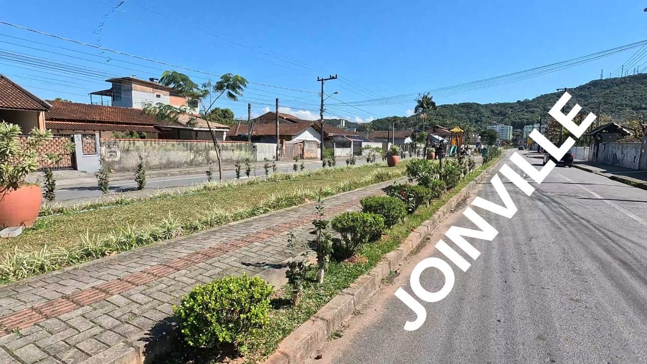Manguezal Bairro Boa Vista #Joinville #sc