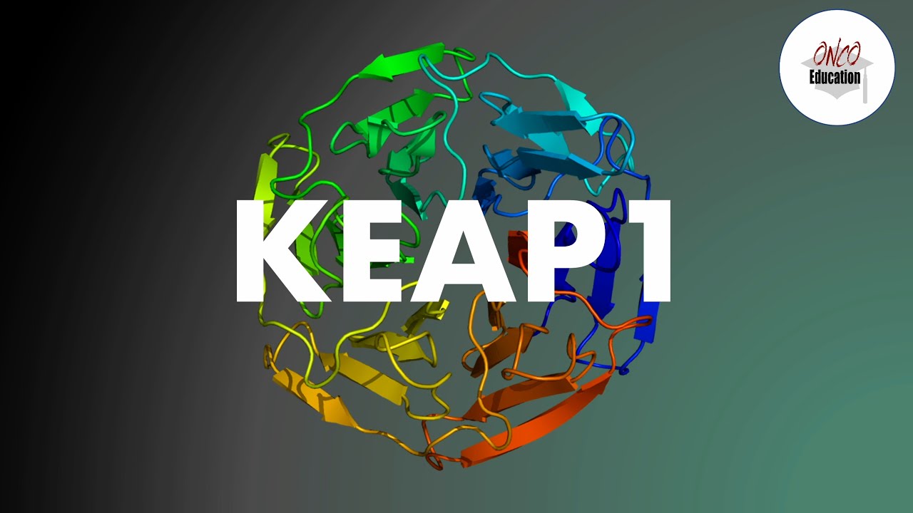 Krebsmutationen: KEAP1 - Der Erzfeind...