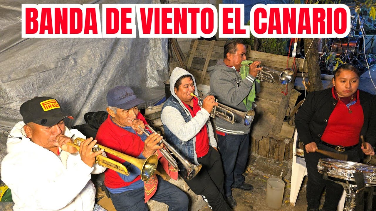 BANDA  EL CANARIO TOCANDO LA NIÑA DEL TELÉFONO 14/12/2024