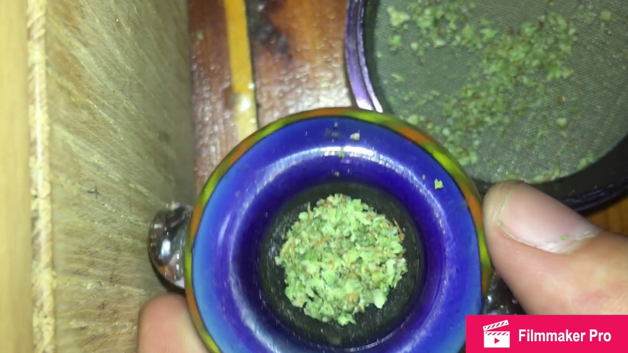 STRAIN REVIEW: JUICY FRUIT (QUICKY)