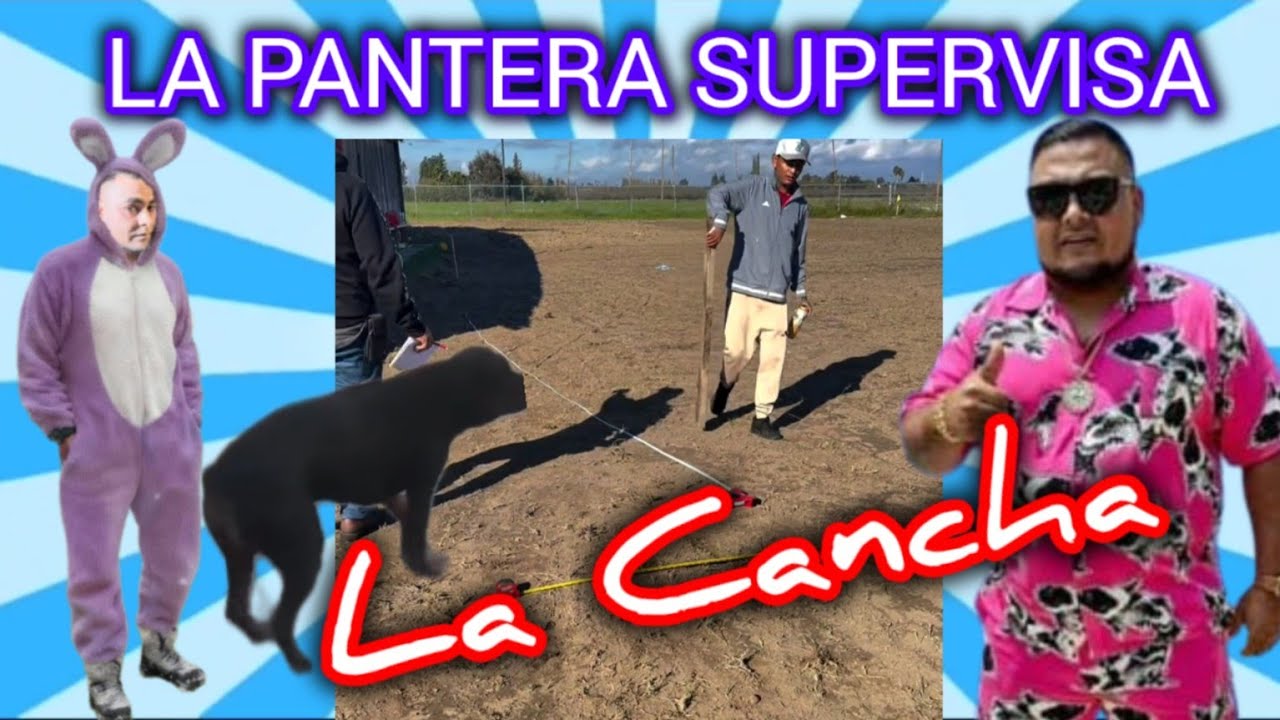 la PANTERA SUPERVISA la CANCHA de EL TAMARINDO