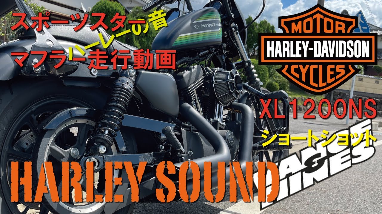 【HARLEY DAVIDSON】2021年　スポーツスター　走行動画　バンス&ハインズのマフラー音　アイアン1200のショートショット！