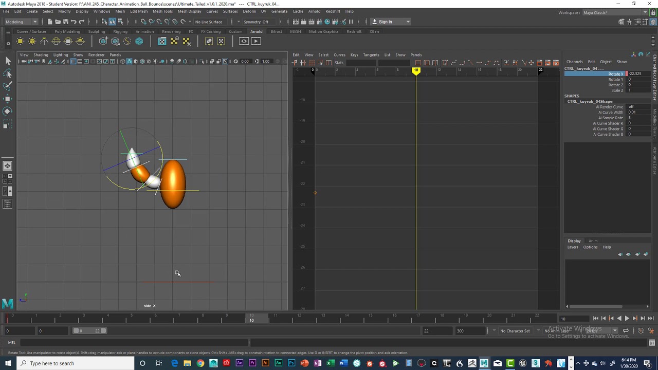 ANI 245 Ultimate Tailed Bounce Animation 01