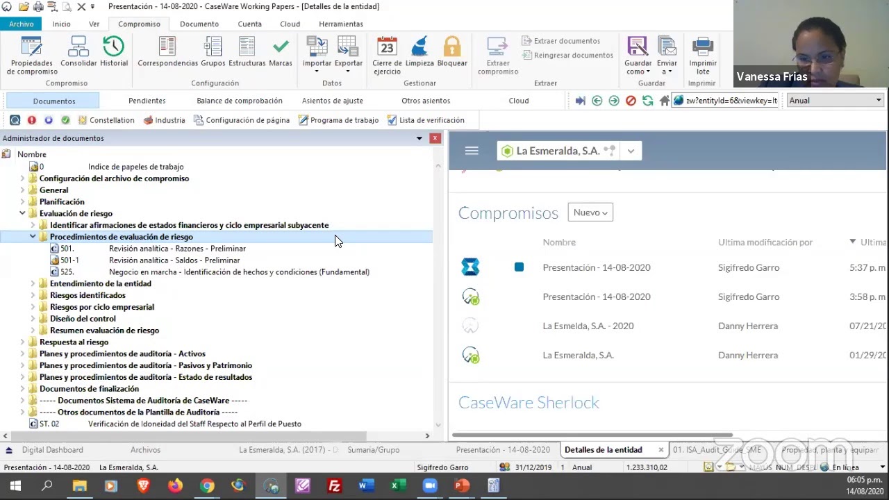 Automatización Los Papeles  De Trabajo Usando La Herramienta CASEWARE.
