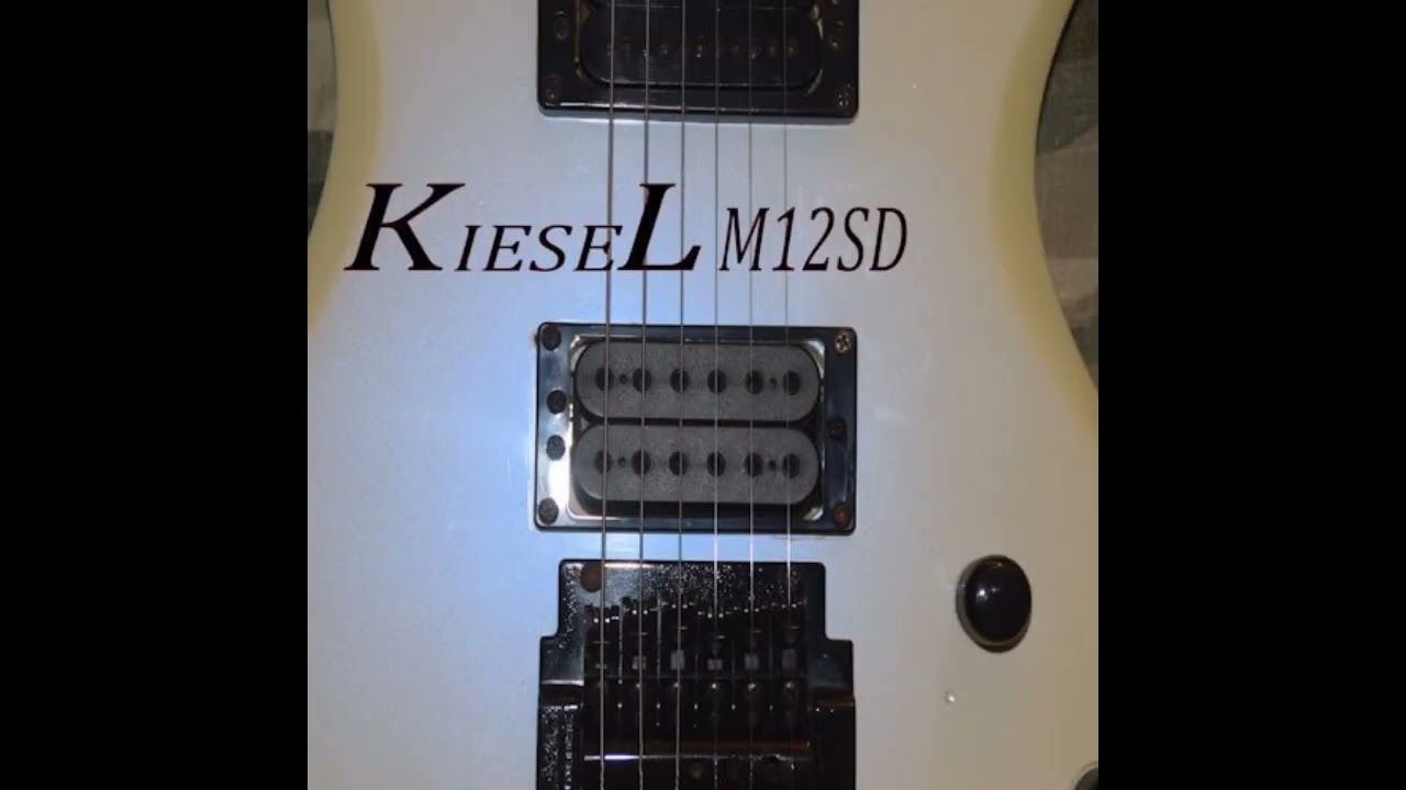 KIESEL M12SD AND CARVIN M22SD