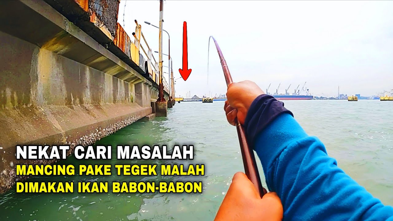 INI CARI PENYAKIT NAMANYA 🔥‼️UDAH TAU IKANNYA BABON-BABON MALAH NEKAT MANCING PAKE TEGEK, 😂🔥