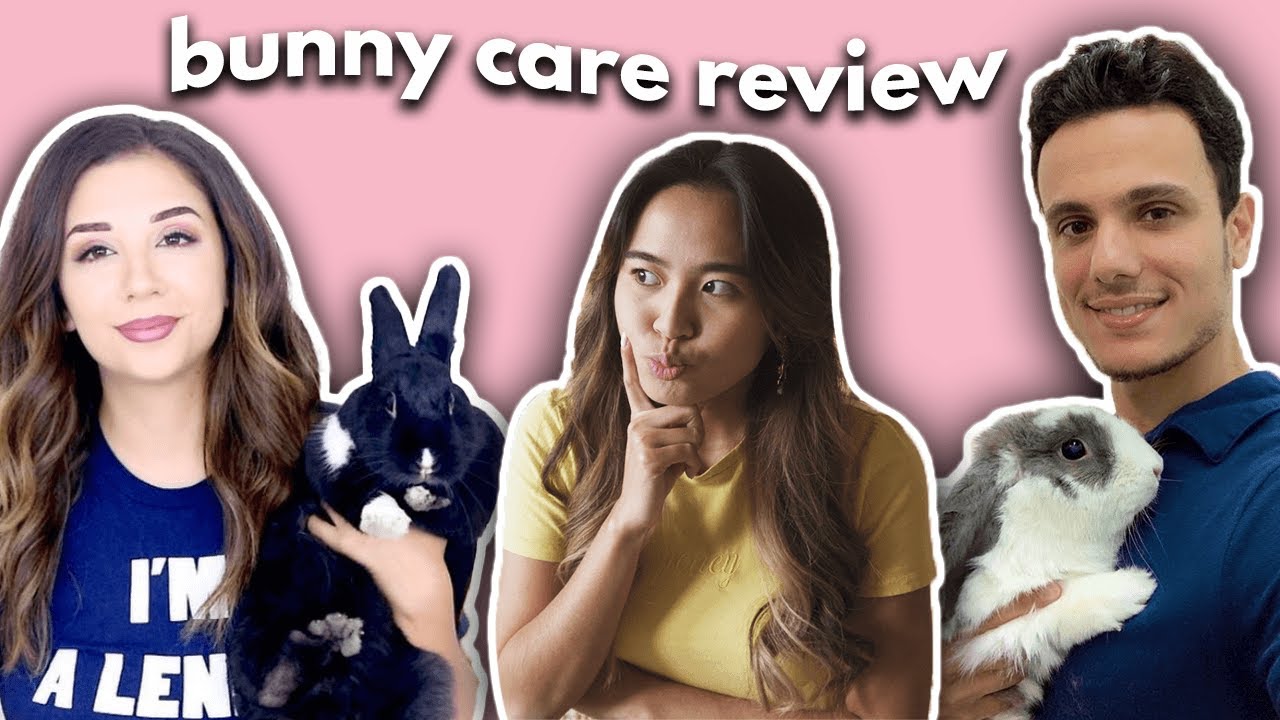 My favourite rabbit youtubers (ft. Lennon the bunny, Bini the bunny, 101 Rabbits)