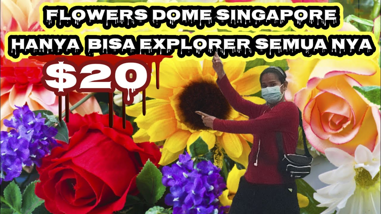 🇸🇬FLOWERS DOME SINGAPORE || HANYA $20 EXPLORING SEMUA