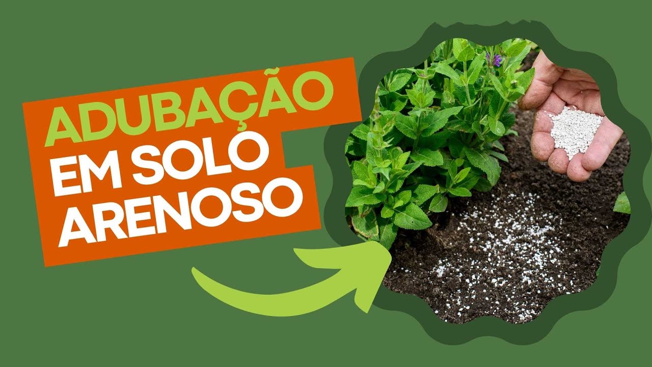 Adubação em solo arenoso