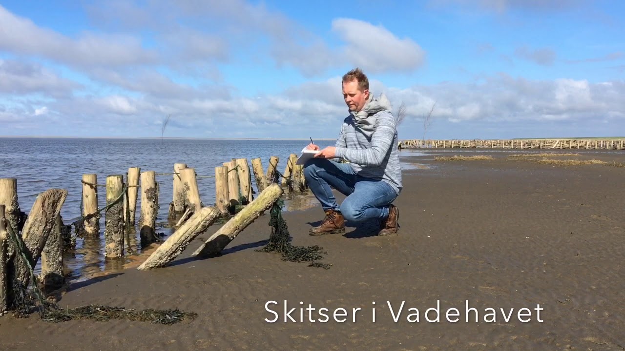 Lyset i Vadehavet