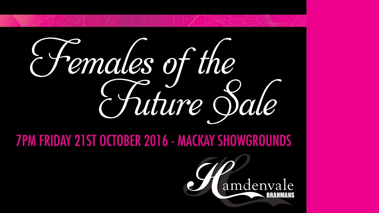 Hamdenvale - Females of the Future Sale (2016)