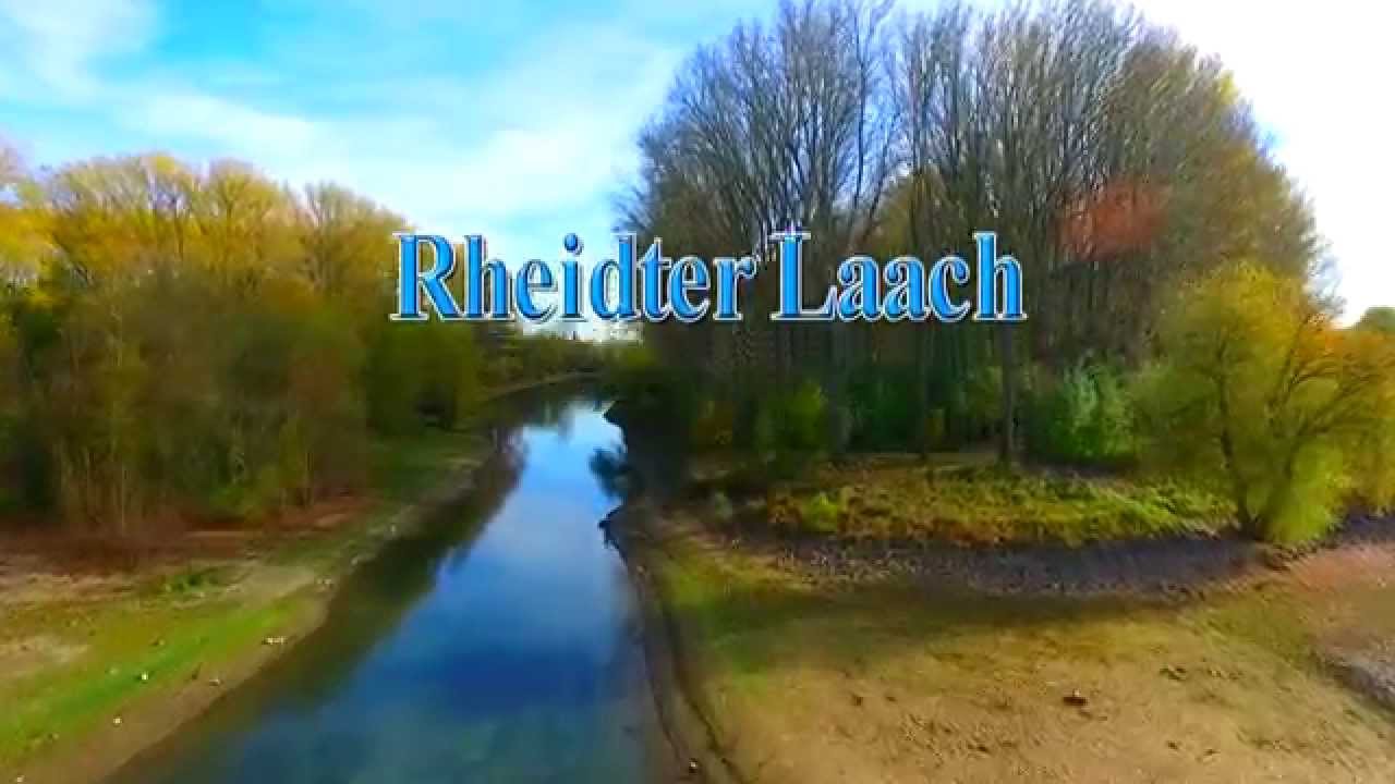 Rheidter Laach #1
