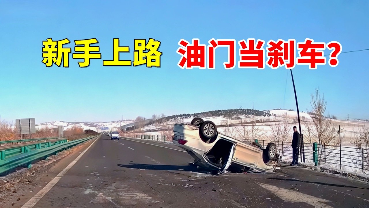 新手司机油门当刹车，这一下尴尬了！2026交通事故第38期