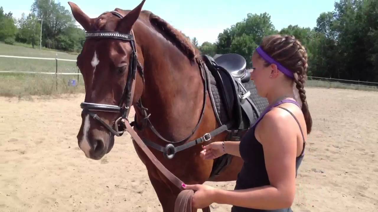 How to use Side Reins