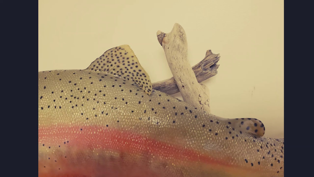 8LB Rainbow Trout Skin Mount and Woodcarving By Sid Killian