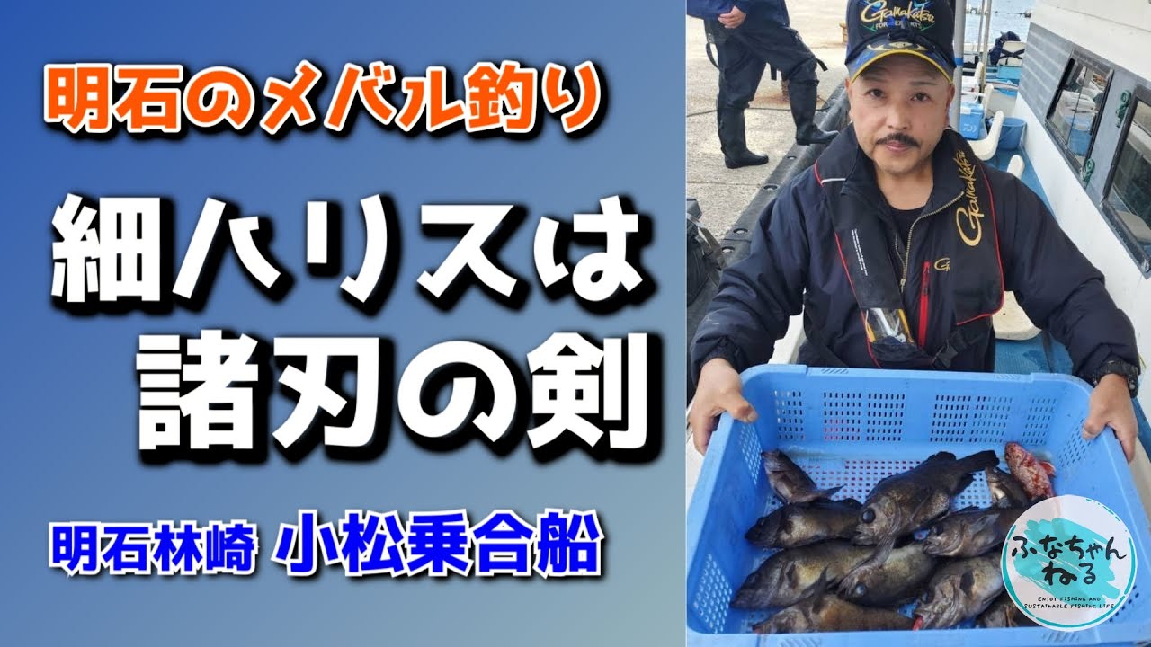 【メバル】2月小潮回り（7日潮） 細ハリスは諸刃の剣