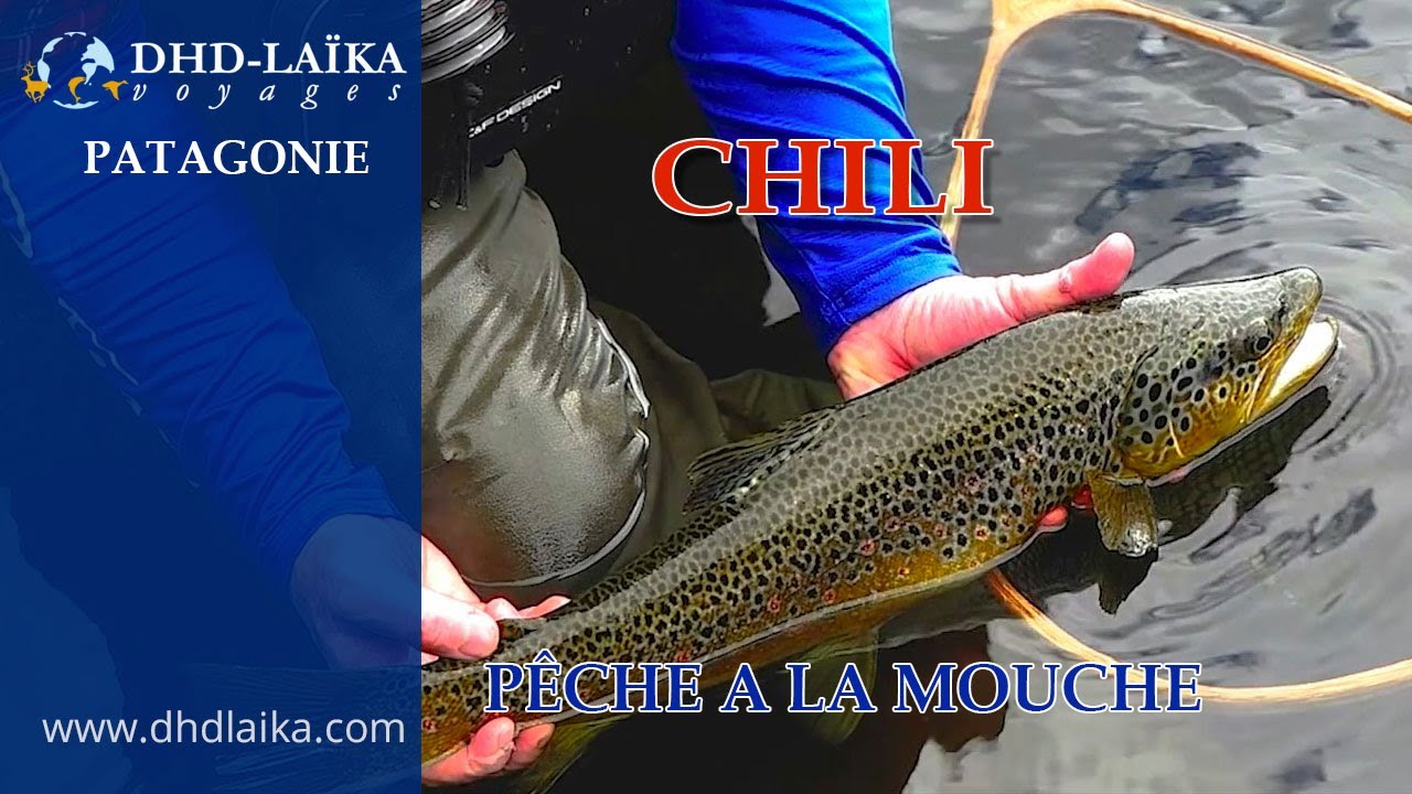 Pêche à la Mouche en Patagonie