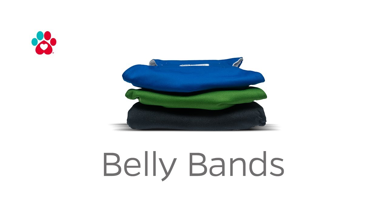 Pet Parents® Belly Bands | Belly Bands for Dogs | Pet Parents®