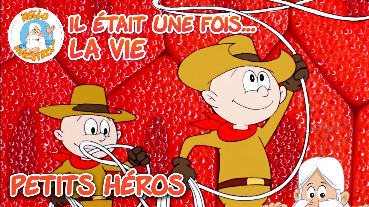 Héros et protecteurs | Compilation d'épisodes | Il était une fois... la Vie