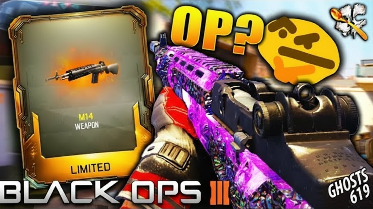 Black Ops 3 NEW M14 is INSANE! BO3 NEW Weapons! [Ghosts619 Reupload]