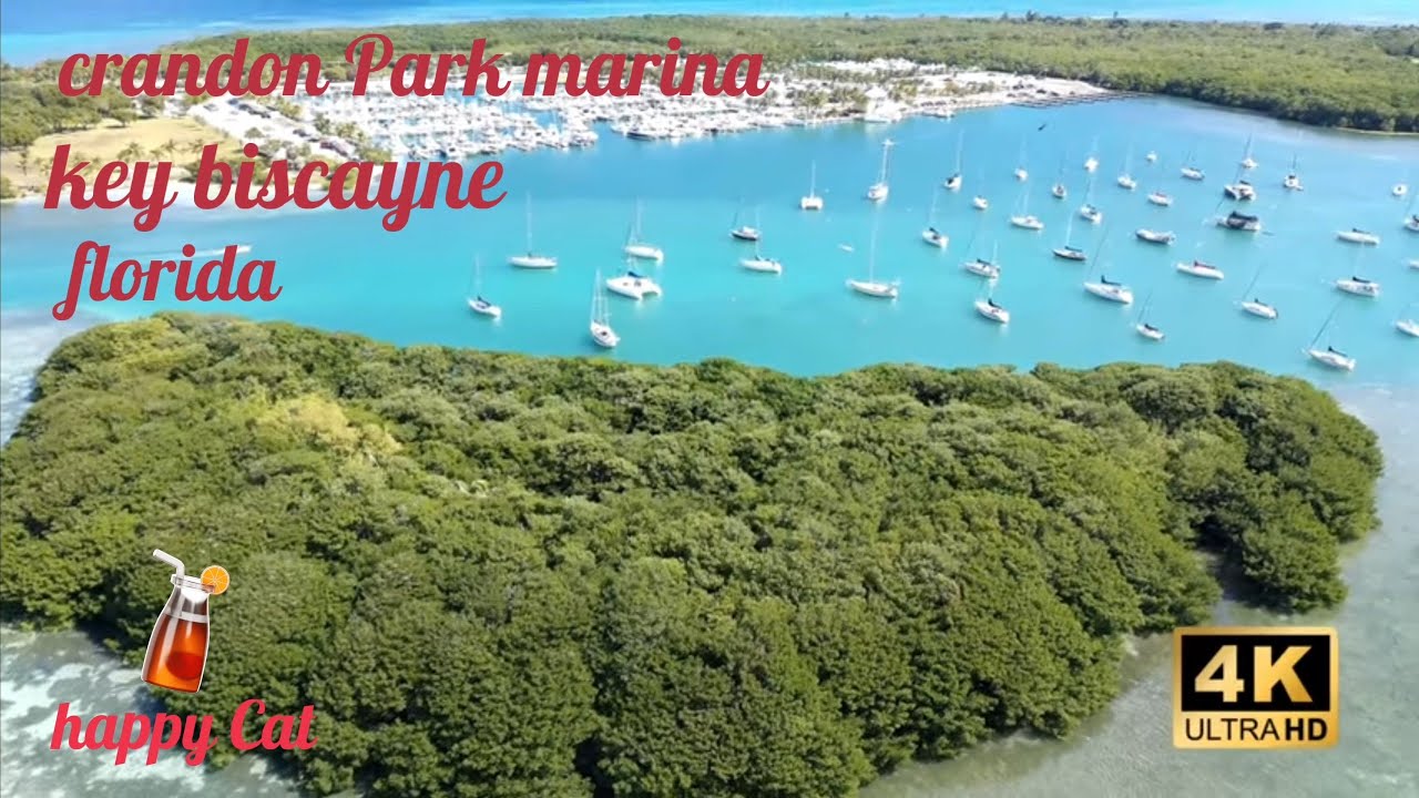 Crando Park marina #florida #beautiful #followme #nature #dronevideo #Floridamarina #floridasea