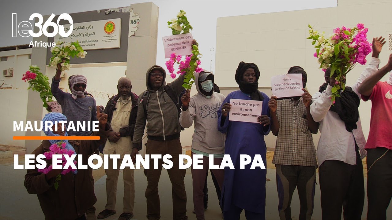 Mauritanie: «Non à la destruction de la palmeraie» de Nouakchott