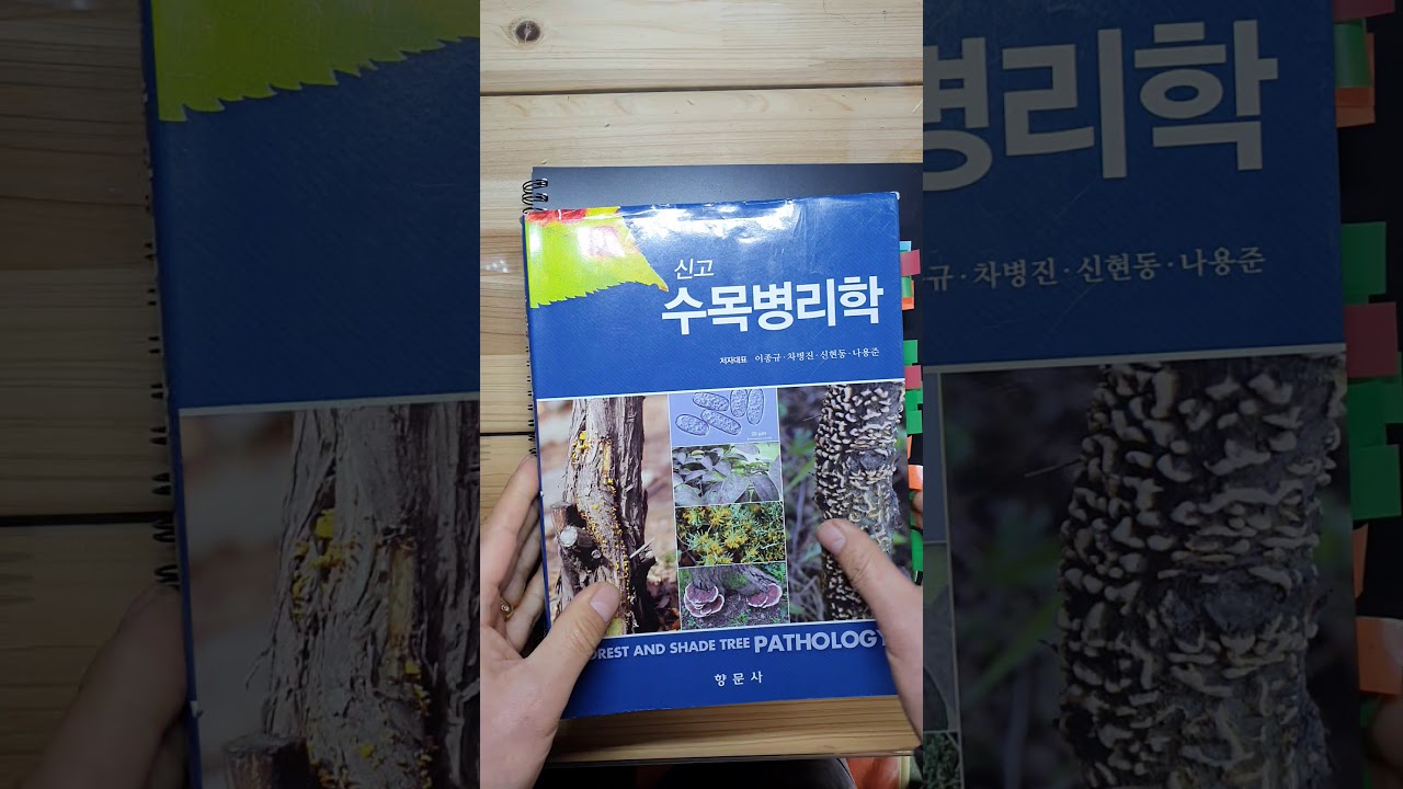 나무의사1차시험공부방법