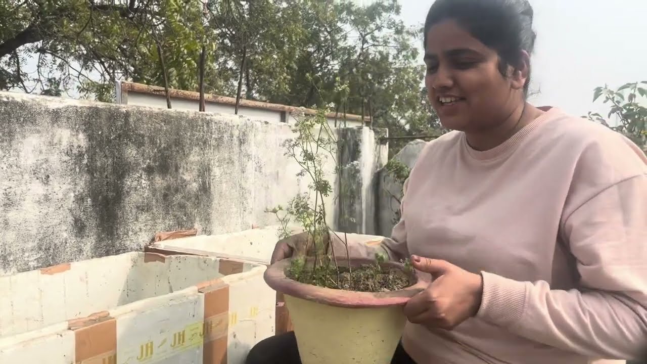 Starting my kitchen garden part 3 