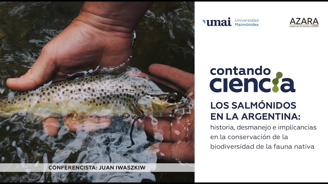 Los salmónidos en la Argentina