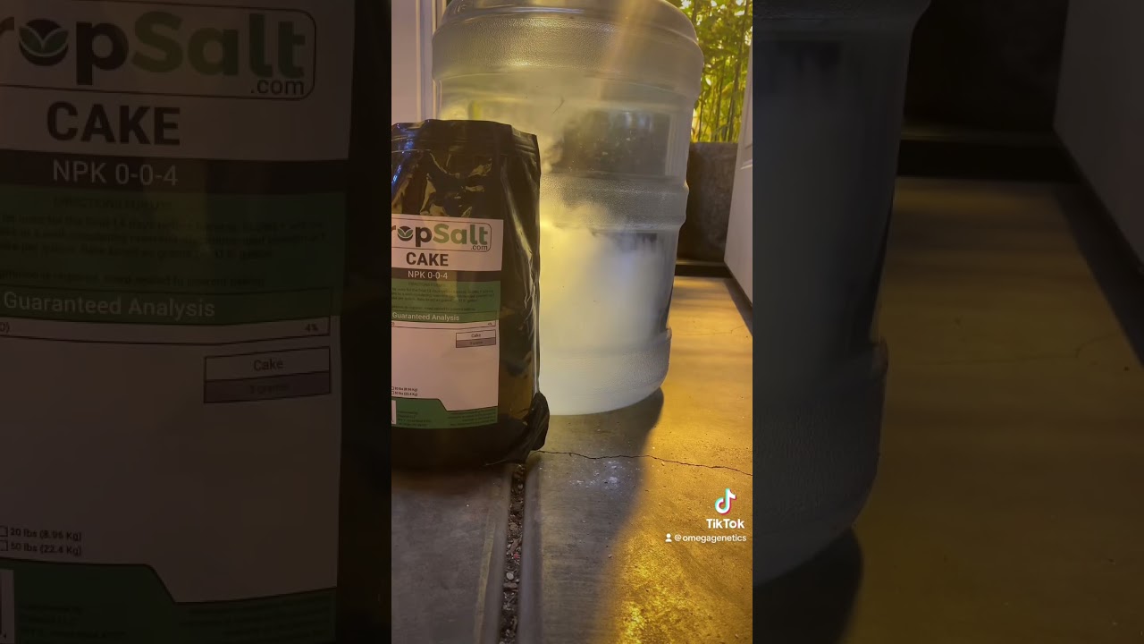 cropsalt.com #garden #homegrown #plant #cultivation #fyp #foryou #cropsalt