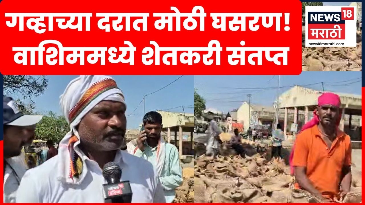 Washim News | महिनाभरात गव्हाचे दर कोसळले, शेतकऱ्यांची चिंता वाढली | N18V