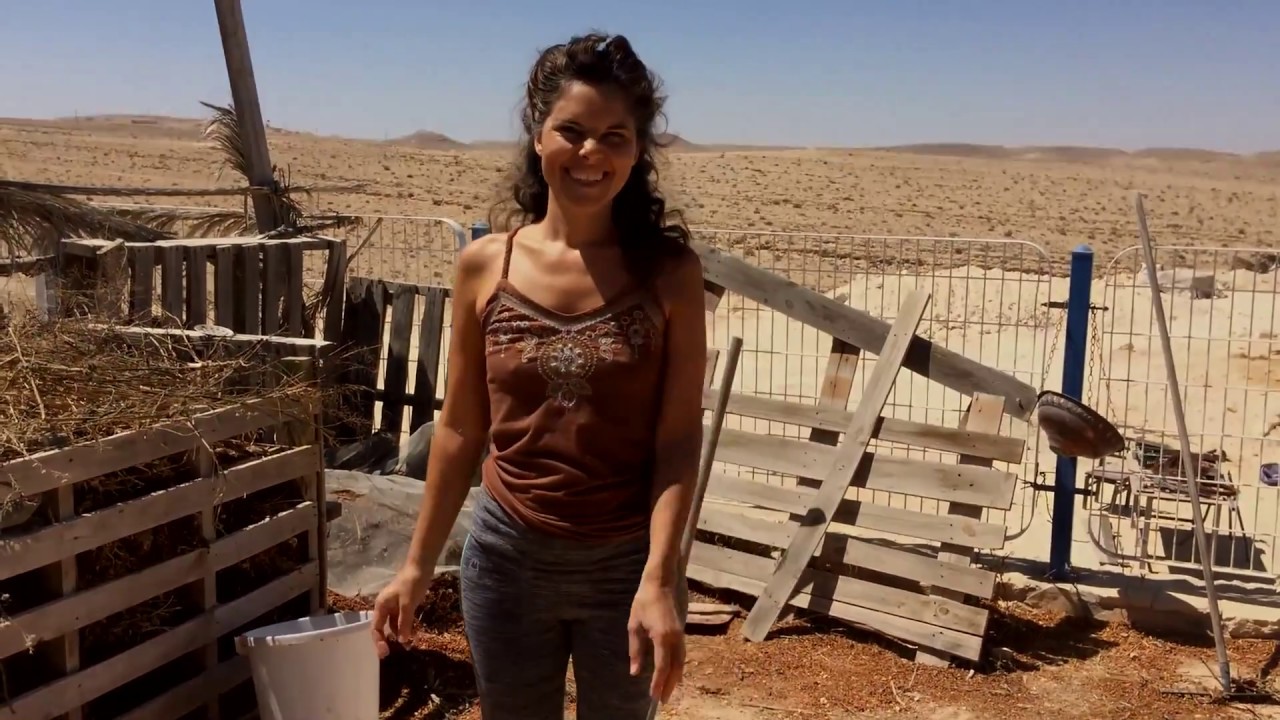 איך לתחזק קומפוסט ביתי