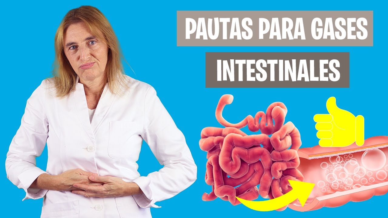 CÓMO SOLUCIONAR los GASES INTESTINALES | Mejora la inflamación intestinal | Nutrición clínica