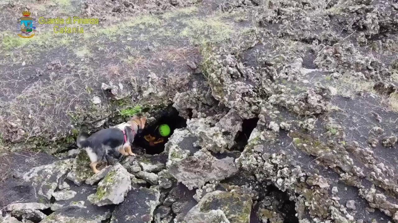Nelle grotte dell'Etna guidati dal cane Halma della Finanza, fra cadaveri e misteri