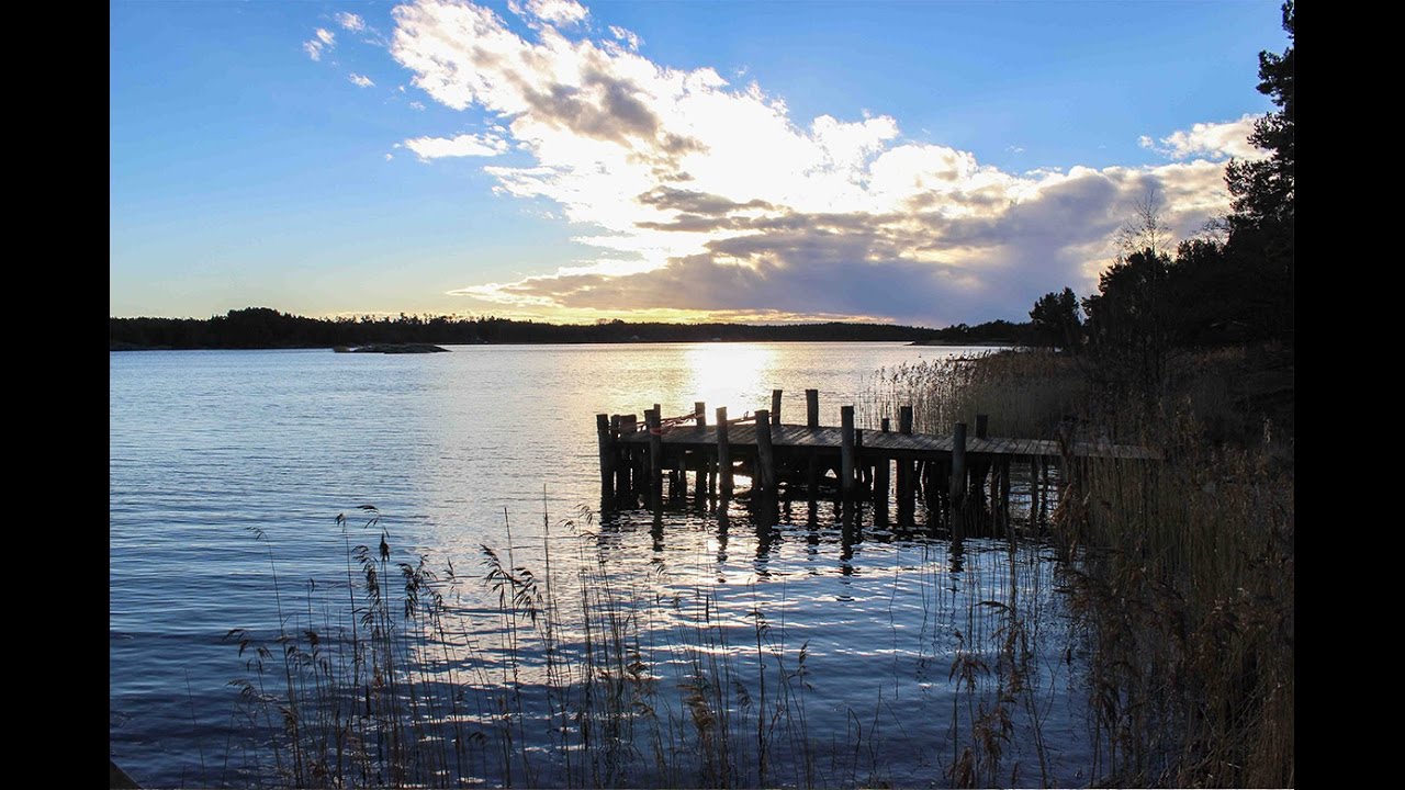R&ouml;nnklev i Sonnboda, F&ouml;gl&ouml;