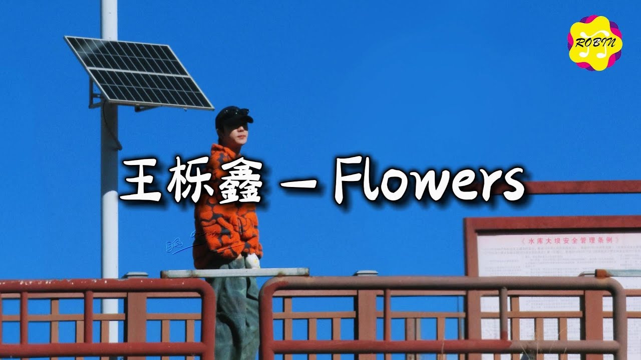 王栎鑫 - Flowers『清醒着身处黑暗心如刀割，安静着沉默却震耳欲聋 。』【动态歌词MV】