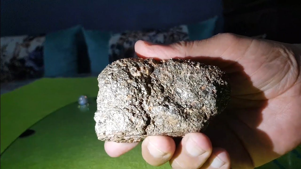 لحبيب وجدا ذهب في الحجر