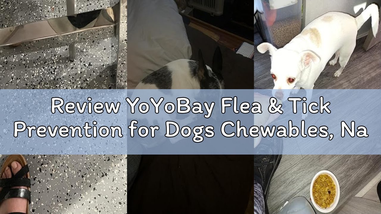Review YoYoBay Flea & Tick Prevention for Dogs Chewables, Natural Dog Flea and Tick Control Treatmen