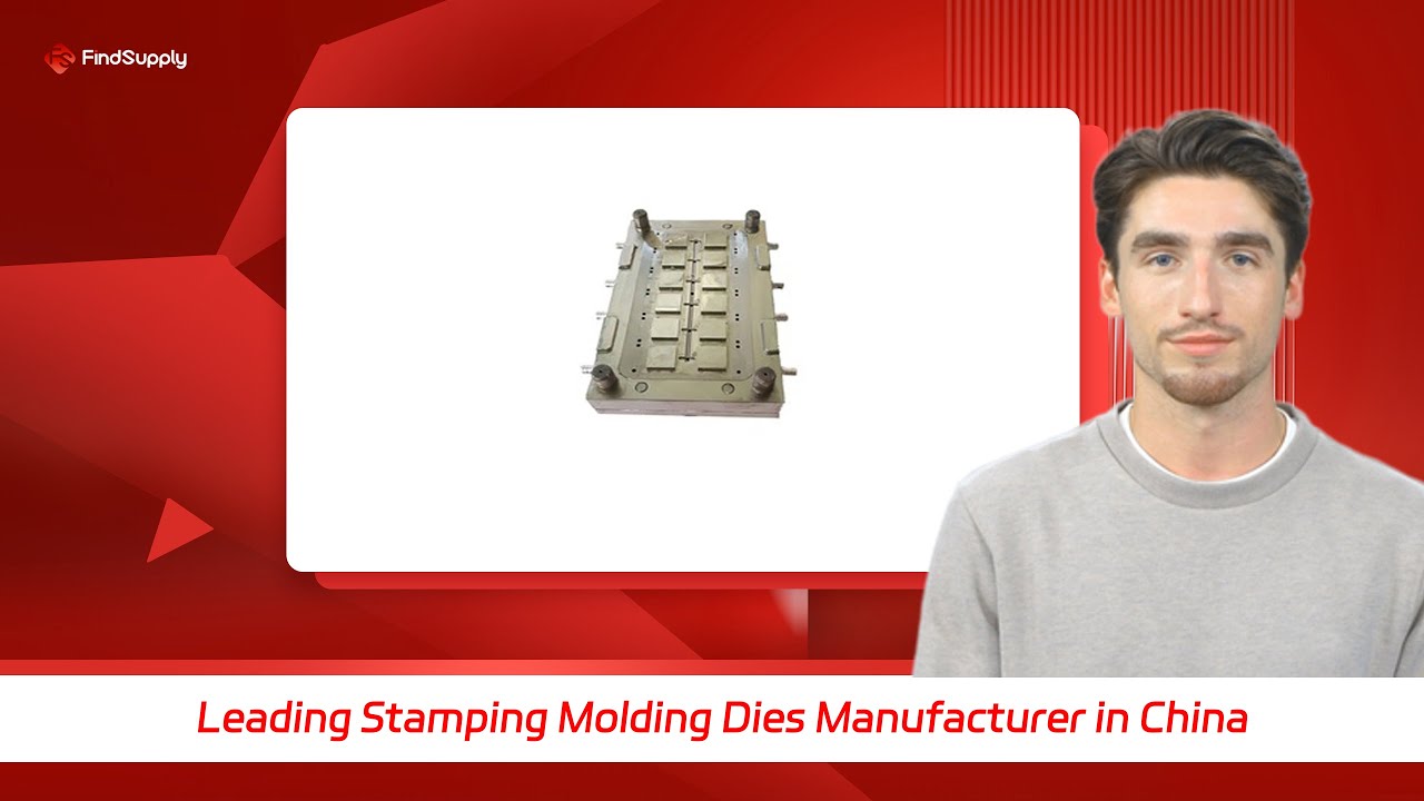 Leading Stamping Molding Dies Manufacturer in China